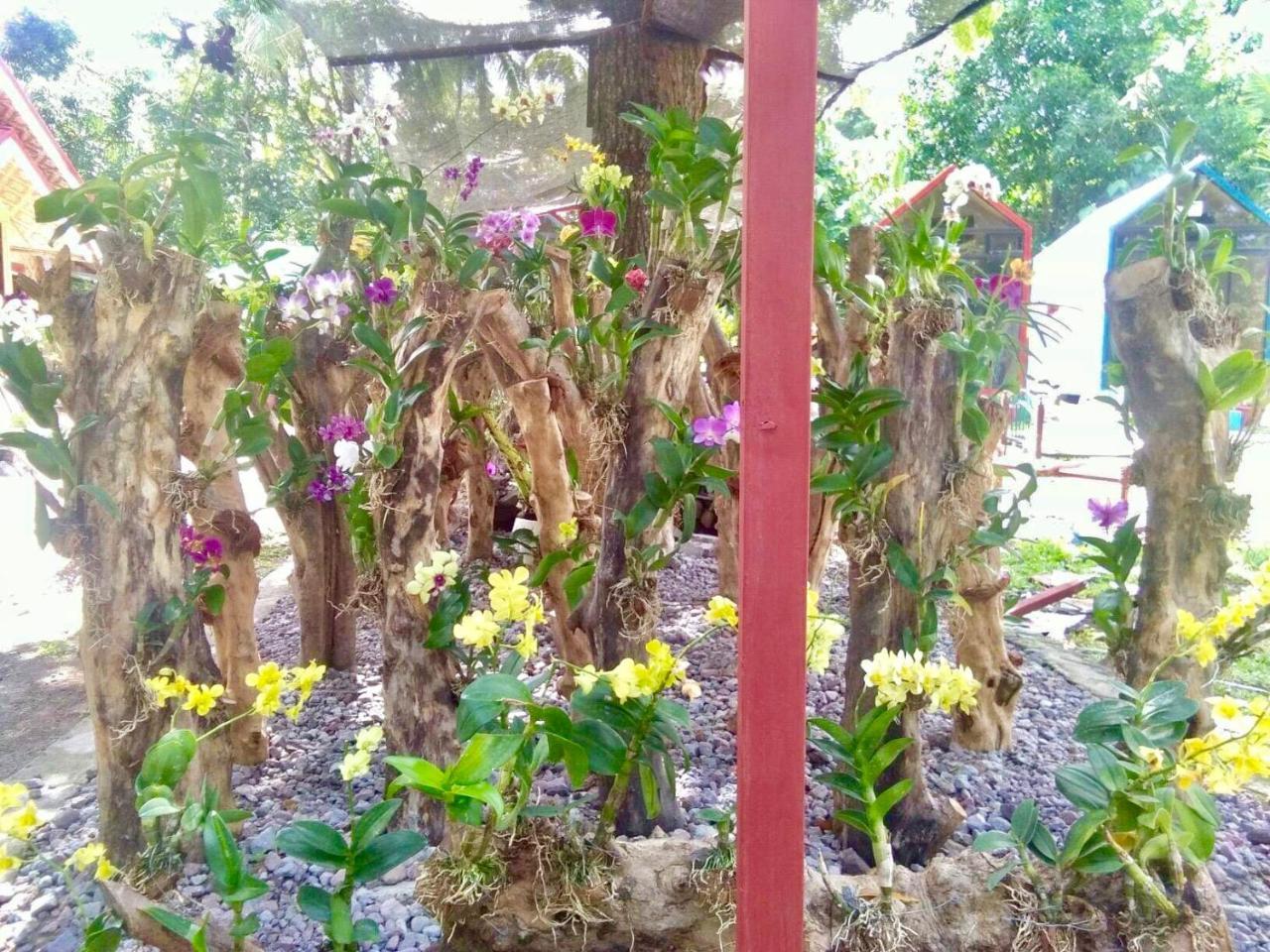 Lanzones Cabana Mambajao Exterior photo